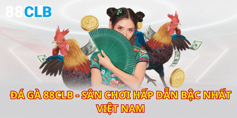 Đá gà từ lâu đã được rất nhiều anh em yêu thích