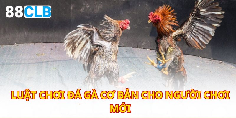 Nắm vững luật chơi là điều tất yếu nếu muốn thử sức với trò này